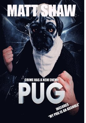 Pug 1