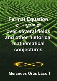 bokomslag Fermat Equation over several fields and other historical mathematical conjectures