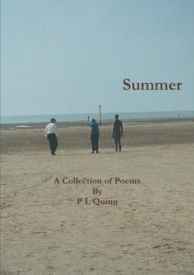 bokomslag Summer