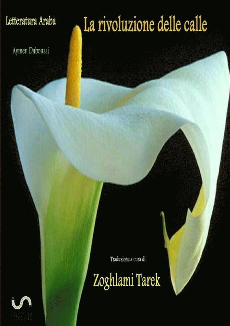 Tarek Zoghlami - Letteratura Araba La rivoluzione delle calle, Häftad