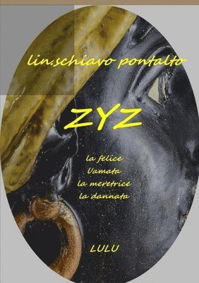 bokomslag Zyz