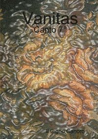 bokomslag Vanitas - Canto 7°