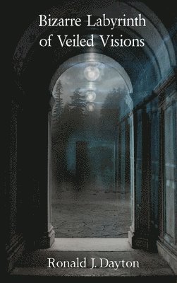 Bizarre Labyrinth of Veiled Visions 1