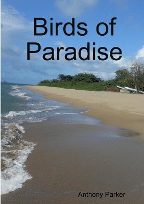 Birds of Paradise 1