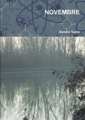 Sandro Salmi - Novembre, Häftad