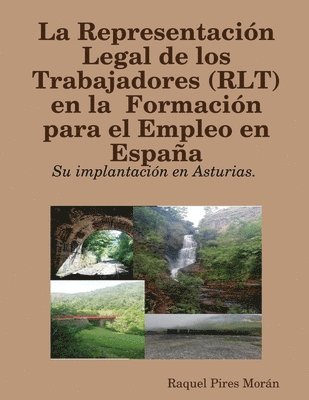 La Representacin Legal de los Trabajadores (RLT) en la  Formacin para el Empleo en Espaa: su implantacin en Asturias. 1