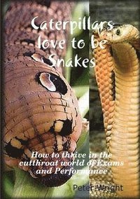 bokomslag Caterpillars love to be Snakes