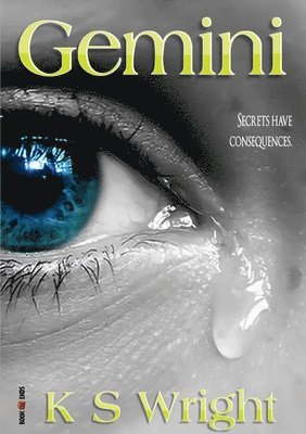 bokomslag Gemini