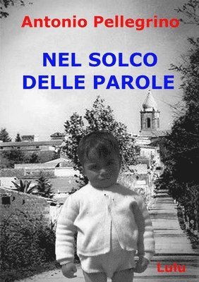 bokomslag NEL SOLCO DELLE PAROLE