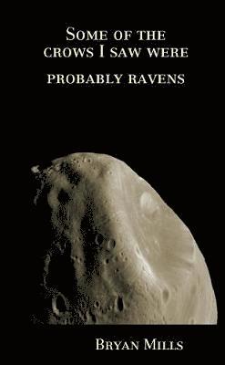 Bryan Mills - Some of the crows I saw were probably ravens, Häftad