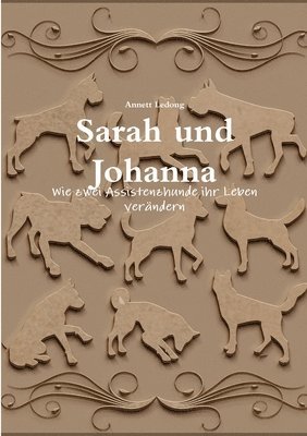 bokomslag Sarah und Johanna