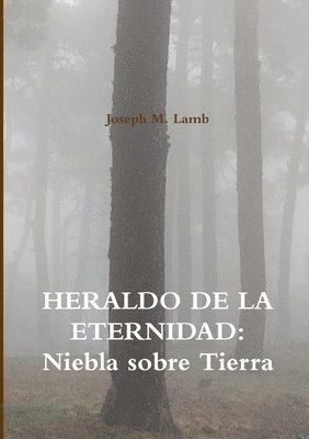 bokomslag HERALDO DE LA ETERNIDAD: Niebla sobre Tierra