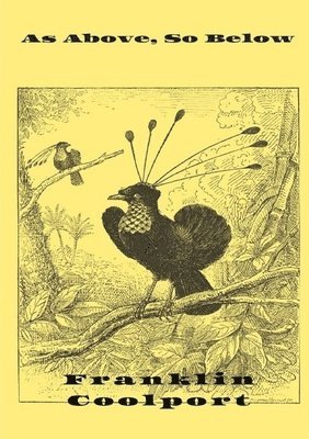 Franklin Coolport - As Above, So Below, Häftad