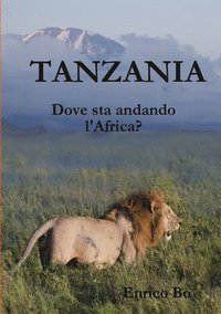 bokomslag Tanzania. Dove sta andando l'Africa?