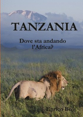 bokomslag Tanzania. Dove sta andando l'Africa?