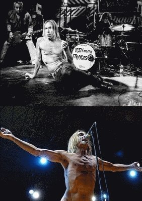 bokomslag Iggy and the Stooges