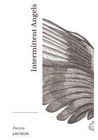bokomslag Intermittent Angels