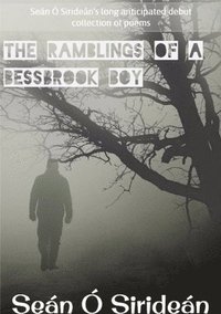 bokomslag The Ramblings Of A Bessbrook Boy