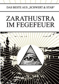 bokomslag Zarathustra Im Fegefeuer