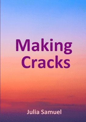 bokomslag Making Cracks