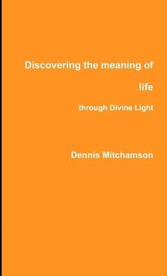 Discovering the meaning of life through Divine Light 1