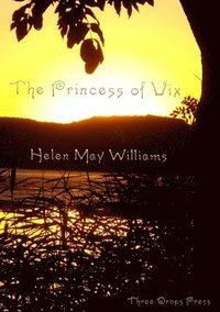 bokomslag Princess of Vix