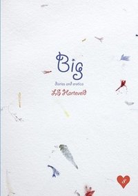 bokomslag Big diaries and erotica