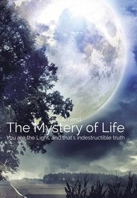 bokomslag Mystery of Life