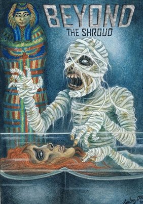 Beyond the Shroud 1