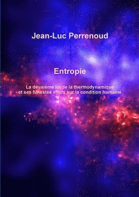 Jean-Luc Perrenoud - Entropie, Häftad