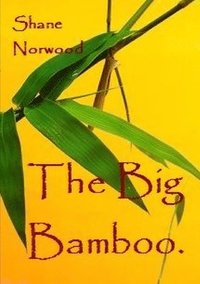 bokomslag Big Bamboo