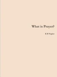 bokomslag What is Prayer?
