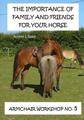 bokomslag Importance Of Family And Friends For Your Horse - Armchair Workshop No,5