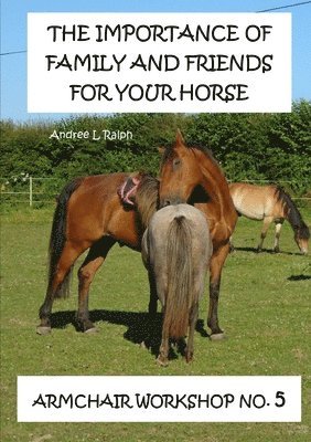 The Importance Of Family And Friends For Your Horse - Armchair Workshop No,5 1