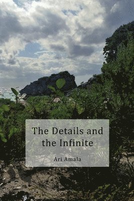 Ari Amala - Details and the Infinite, Häftad