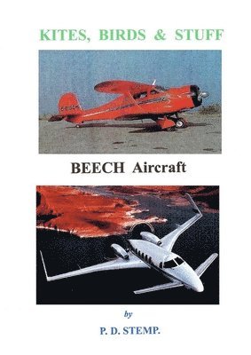 Kites, Birds & Stuff  -  BEECH  Aircraft 1