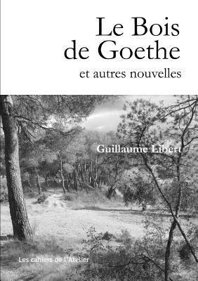 bokomslag Bois de Goethe et autres nouvelles