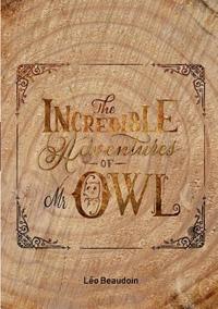 bokomslag Incredible Adventures of Mr Owl
