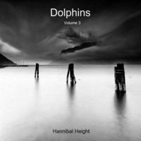 bokomslag Dolphins - Volume 3