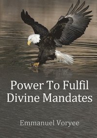 bokomslag Power To Fulfil Divine Mandates