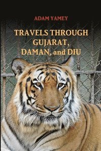 bokomslag Travels Through Gujarat, Daman, and Diu