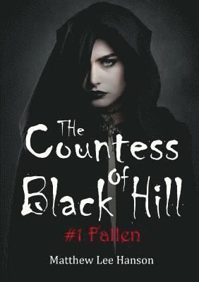 bokomslag Countess Of Black Hill