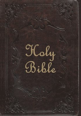 bokomslag Holy Bible