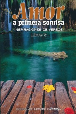 bokomslag Amor a primera sonrisa. Libro V