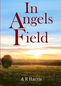 bokomslag In Angels Field