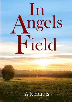 In Angels Field 1