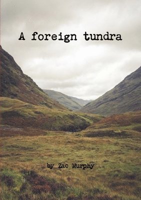 A foreign tundra 1