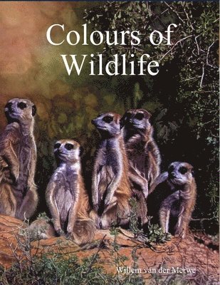Willem van der Merwe - Colours of Wildlife, Häftad