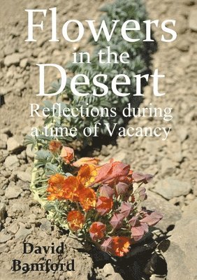 David Bamford - Flowers in the Desert:  Reflections during a time of Vacancy, Häftad