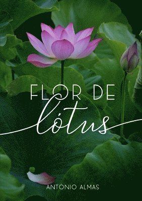 Flor de Ltus 1